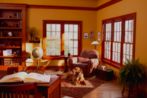 Introducing Our Newest AEN Partner