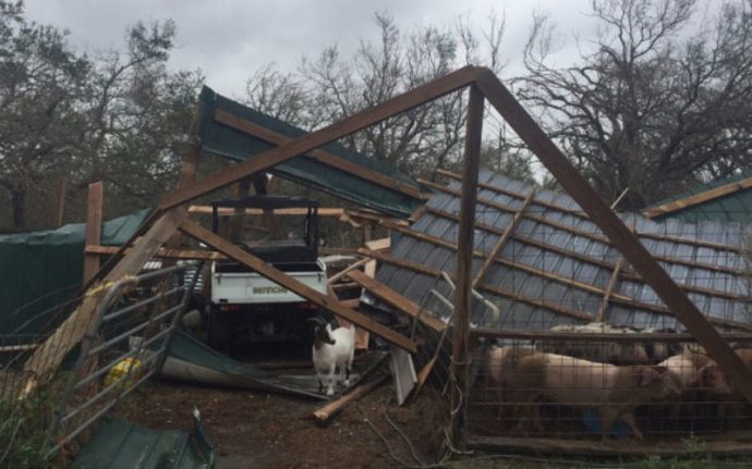 Rancher Disaster Relief