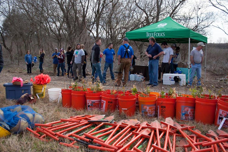 TreeFolks Sapling Giveaway
